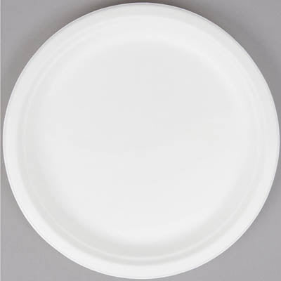 PAPER PLATE 10" White